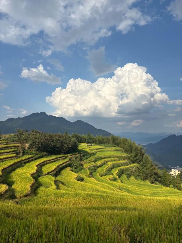 国庆4天打卡浙江11个绝美小众景点！2个人只花3000块