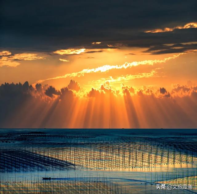 霞浦元素闪耀金鸡！《深海奇遇》携《海错图》IP入围金鸡影展，510公里海岸线藏着世界级美景