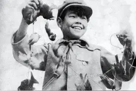 1958年，我国爆发打雀运动，一年时间消灭19亿只，麻雀险些灭绝图片