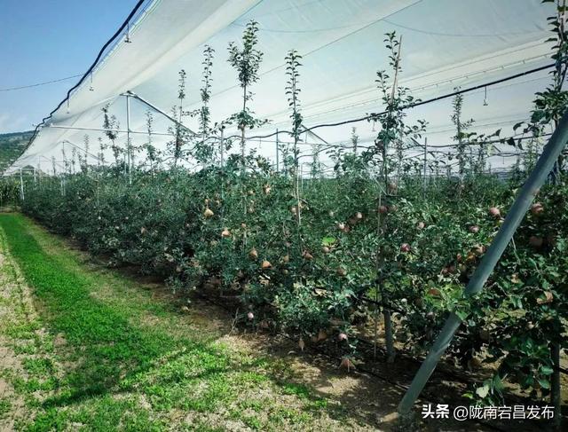 【寻迹甘肃 向往之旅】问道崆峒 康养平凉