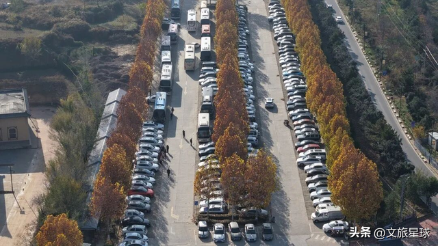 陕州地坑院天鹅季点燃冬日文旅热潮