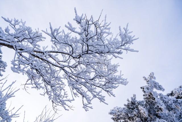 “冷不冷，就看秋分”，今日秋分，今年冬天雨雪多吗？早看早知道