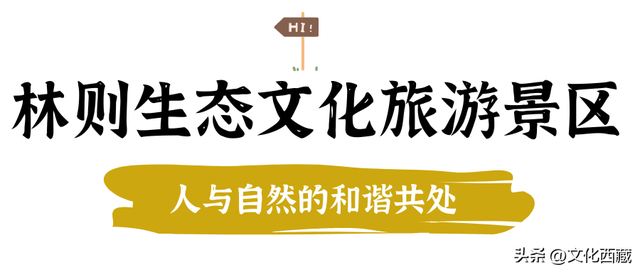 西藏这里，承包中国颜值最高的夏天！收下这份超详细游玩攻略，8、9月出发正好！