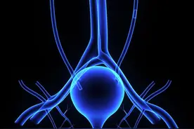 尿道炎尿道口红肿要多久才能治好图片