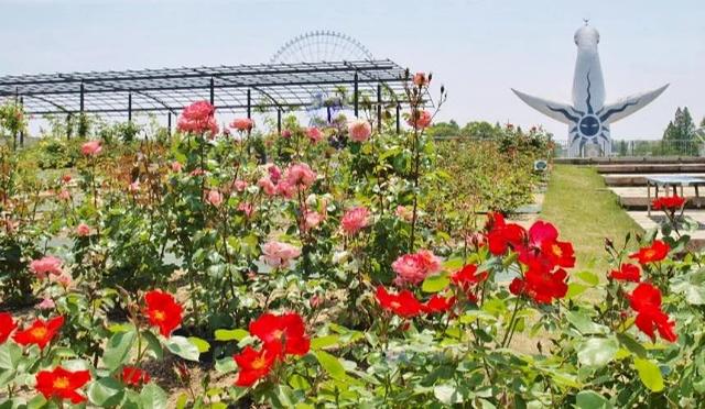 大阪「万博纪念公园」完整指南:交通、推荐景点、周边美食总整理