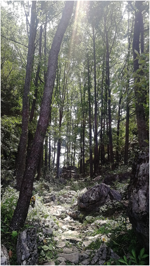 柳州市郊外几个小众景点（几个小草原，重点：拉建草原徒步环线）