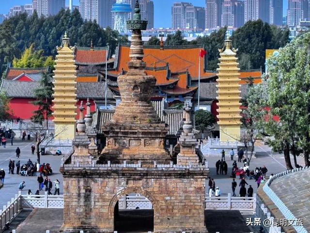 超详细攻略!在昆明官渡,与鸥共舞,六种玩法开启冬日漫游!