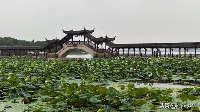 素面种种说开来【泉明／文 花非花／摄影】