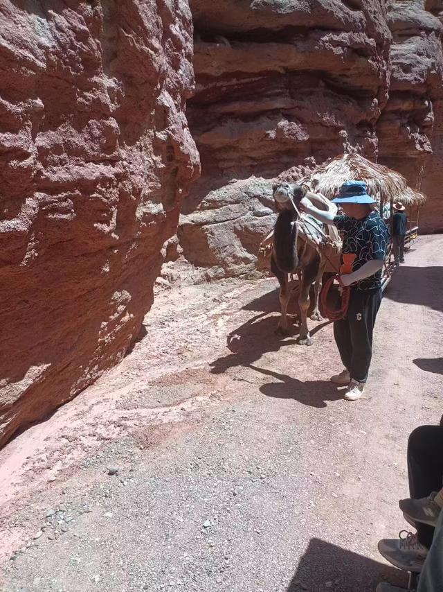 又踏甘肃地之二十 张掖篇之十八 平山大峡谷（2）