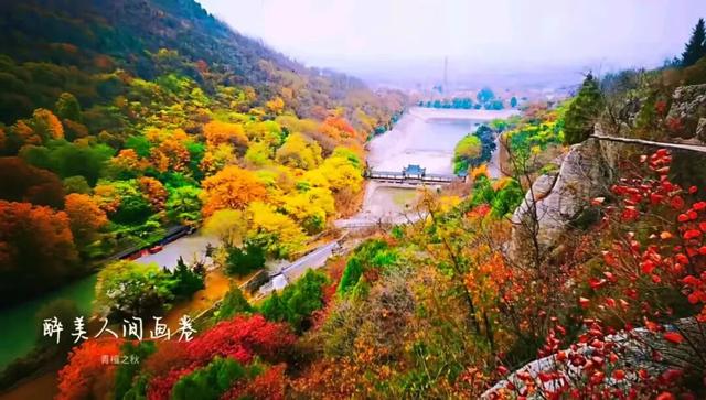 国庆倒计时！青檀秋色正登场，古寺、集市与祈福，等你抓住假期尾巴！