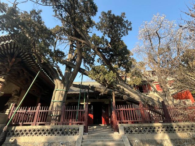 山西全境自驾游（十二天）：太原晋祠