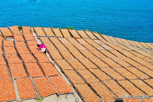 这才是嵊泗秋日最美画卷。嵊泗游子看了就想买票回岛！