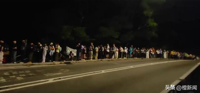 热话｜大东山芒草季迫爆打卡客，网民︰远看像逃难