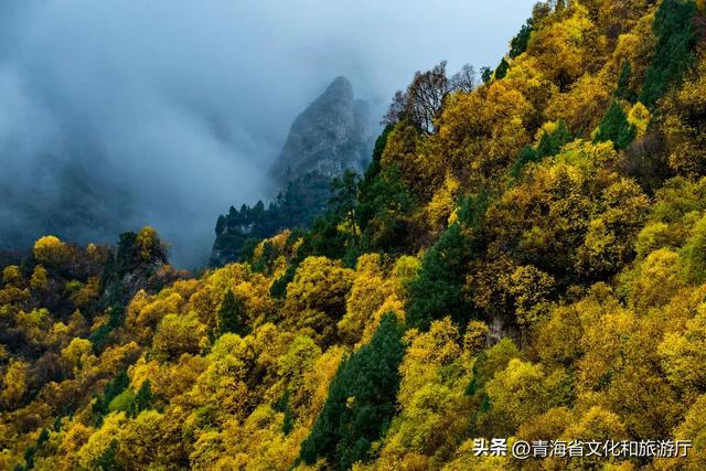 秋色漫卷海东，一场山水林间的浪漫叙事