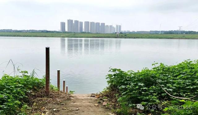 实播湘潭 || 找到了！湘江右岸将军渡，昭山渡口，罗六十老倌，彭德怀，彭得华，郭得云，罗新民，探索约起
