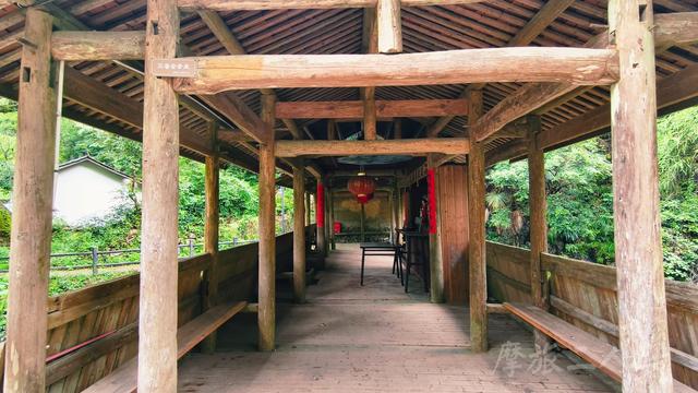 皖浙摩旅二人转——松阳横坑村篇（下）