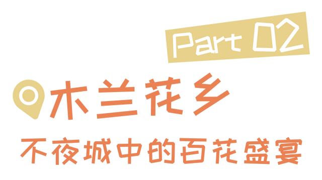 秋日寻芳记，游黄陂，赏花趣！