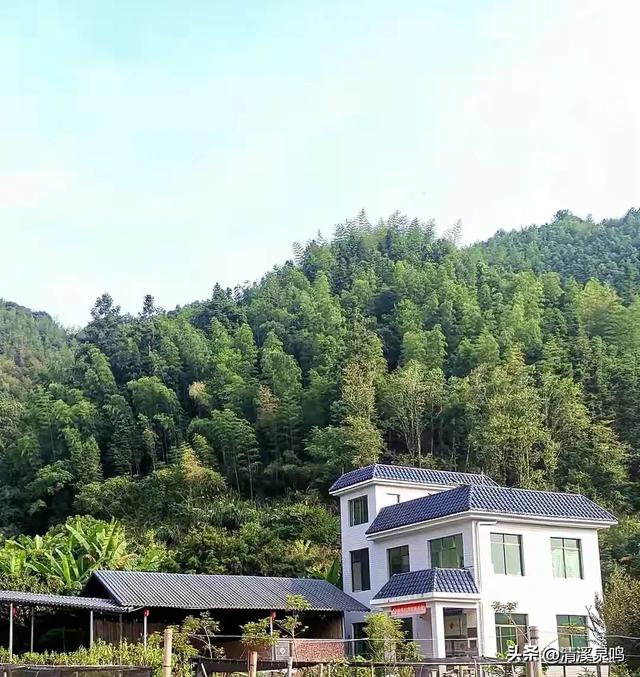 双柏连理处，情定九峰间