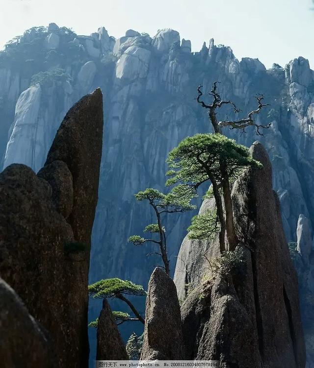 手机壁纸精美图片（112）
