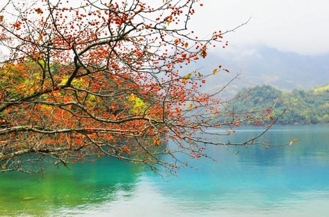 "咔嚓！"→文县