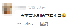 男子剪枝时发现螳螂伪装成树枝