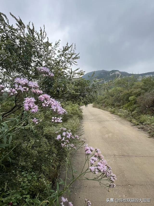 章丘胡山里的圣水灵泉庙，我都找着路线了，却近在咫尺未能抵达
