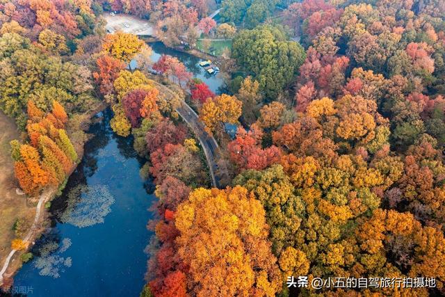 11月旅游的目的地推荐|每一个都是出片圣地的存在