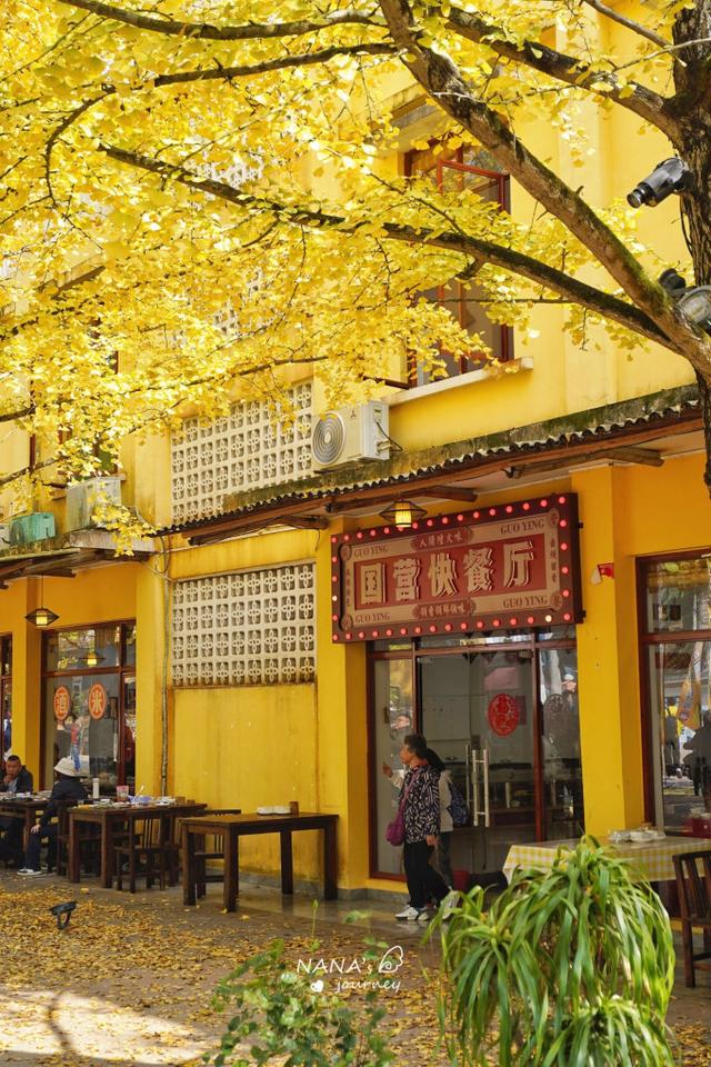 漫游韶关，赴一场山水间的秋日之约