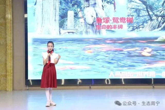 福建宁德周宁县：从赛场到古村！“红领巾小导游”用童声点亮周宁文化名片