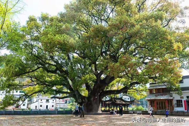 探秘家乡“奇人”～詹世钗