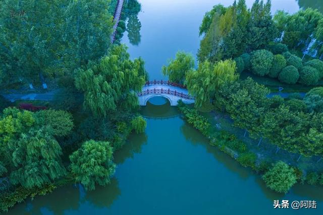 路过荆州明月公园，绿意葱茏中的歌舞升平让人印象深刻