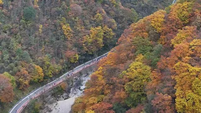 龙头山秋韵：层林尽染的摄影秘境