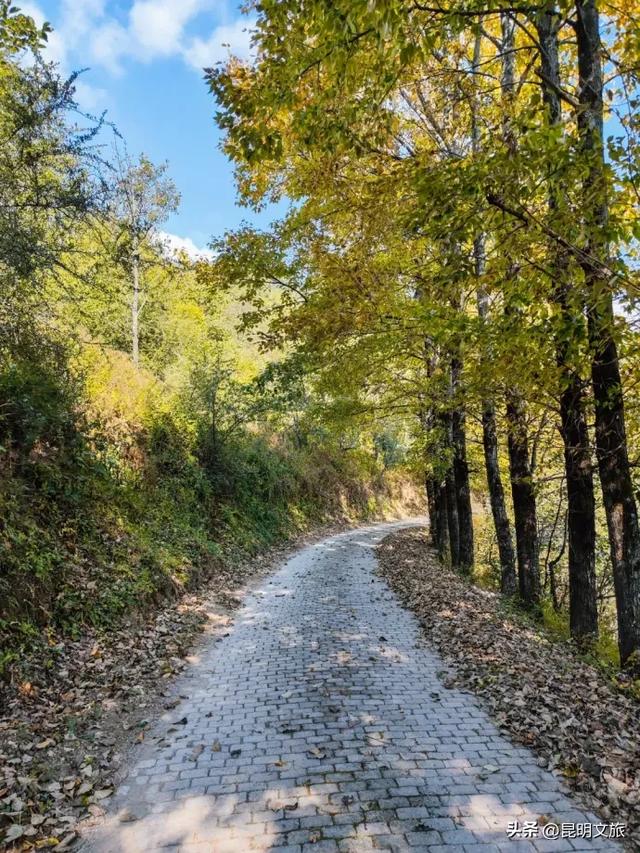 来一场短暂的城市逃离!盘龙这些登高好去处你知道吗?