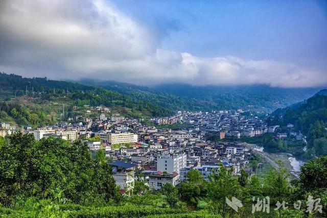 利川：龙渠古韵，茶香悠悠
