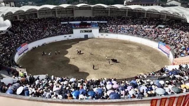 人人人你人人人， 这个假期你在哪里玩（còu）耍（jǐ）呢？
