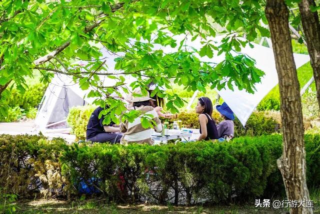 八个免费公园，大连山林海趣全打卡！
