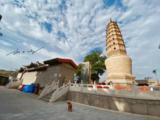 兰州有座“千年白塔”！免费登顶看黄河穿城，本地人爱来喝三泡台