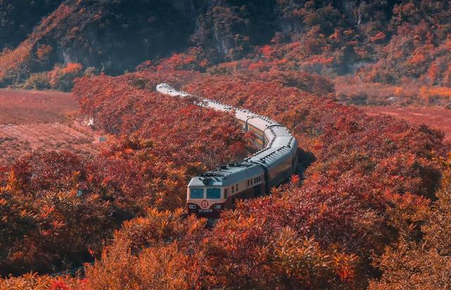 9月-10月的盛大秋景，这8个地方，有登峰造极的秋色盛宴