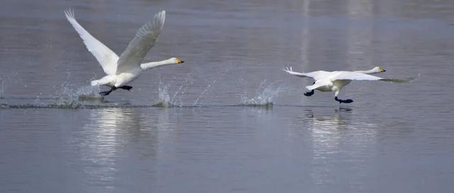 全部免费！兰州周末5个遛娃吸氧宝藏地！还能邂逅候鸟！
