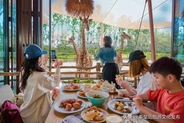 秦皇岛渔田七里海度假区暑假首刷必看！全天游玩攻略已备好，放心冲！