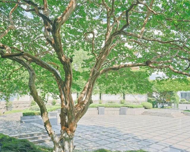 苏州十大“寿星”出炉！