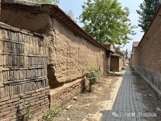 冠县乡韵·柳林镇三里屯村
