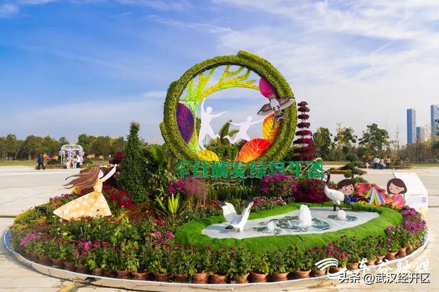 这个秋天，来武汉经开区共赴一场菊花之约