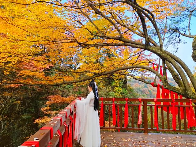 赏秋正当时!自驾来汉中,赴一场秋日视觉盛宴~