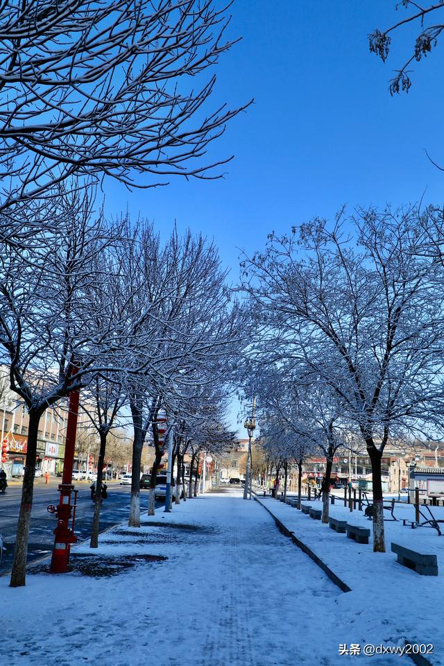 山西陵川雪后现雾凇美景