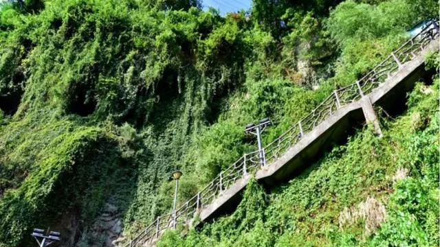 小布丁·早安丨地名里的重庆：太白街道，藏着万州的诗与烟火