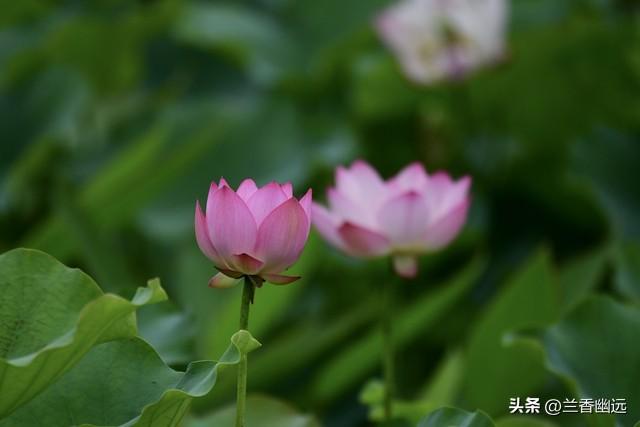 两性关系：为什么65岁后，女人比男人更希望这些，你真的懂吗