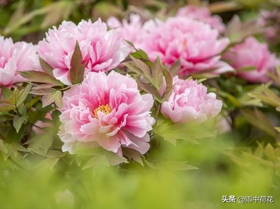 晚年苦不苦，全看七十五：这4手备好，余生安稳舒心