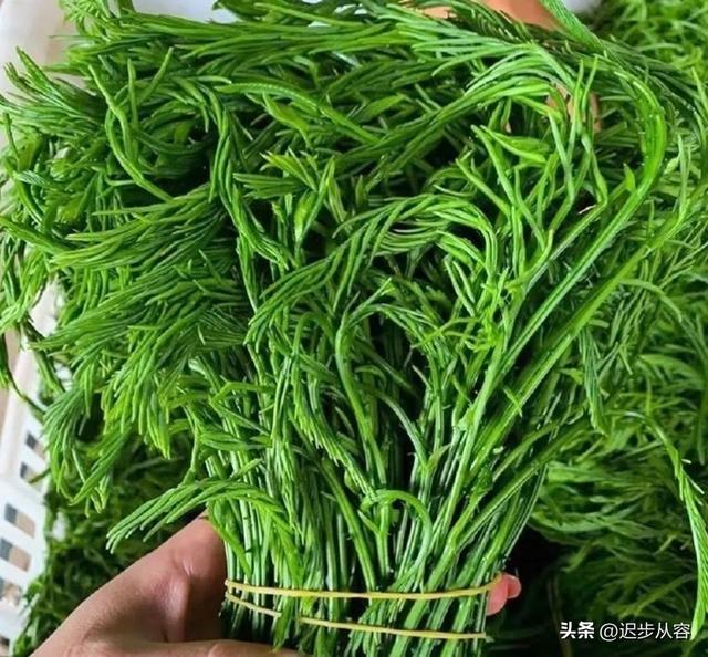 震惊！！名字带“臭”却真香