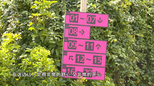 累了？藏在昆明近郊的“解药”，把疲惫的班味都吹散在风里